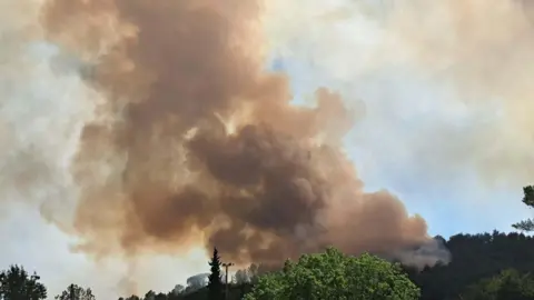 Katie Bott A billowing cloud of dark brown and grey smoke rising from an area of green woodland on a hill