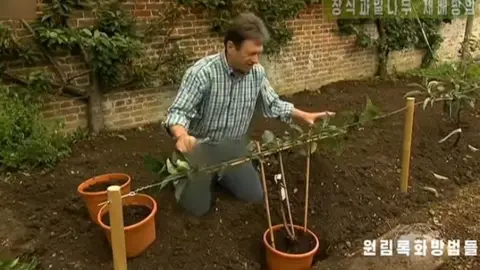 KCTV Alan Titchmarsh's trousers are blurred in this shot from the edited BBC television programme