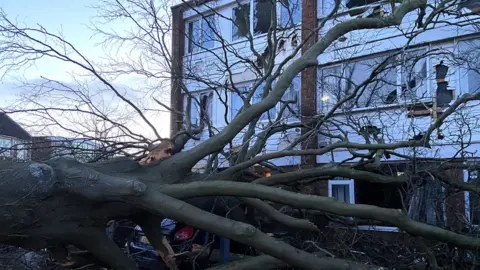 BBC The fallen tree in Hanham