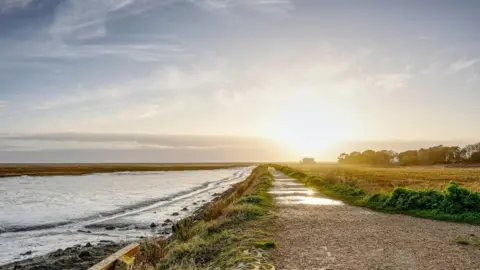 Simon THURSDAY - Milford on Sea