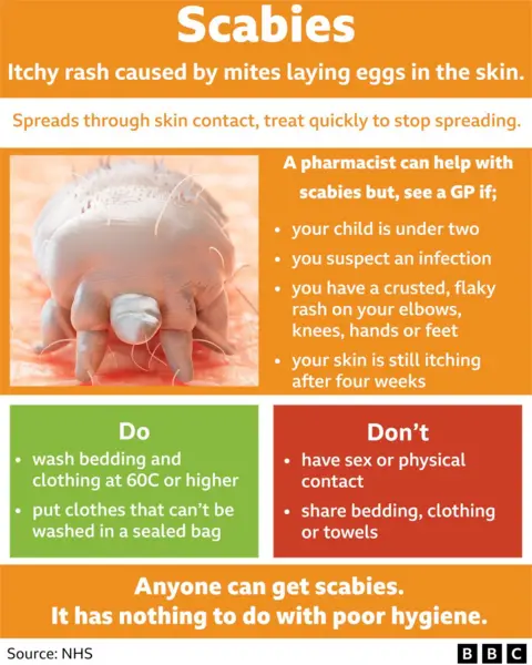 Graphic of scabies symptoms and care