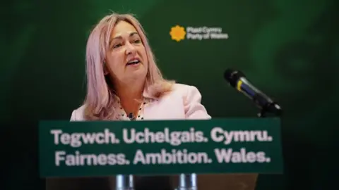 PA Media The image shows Plaid Cymru MP Liz Saville Roberts speaking at a lectern. There is a green backdrop behind her. She is wearing a light pink top. 