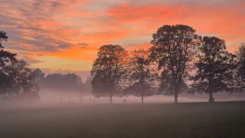 Jon C A layer of mist sits above a green parkland. Several trees are silhouetted against a darkening sky with bright orange clouds. A few figures can just about be seen through the mist.