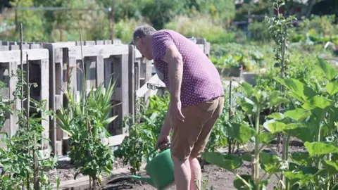 Allan Silvester with his back to the camera waters a row of plants with a green watering can he wears tan shorts and a pink shirt patterned with white dots