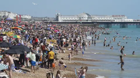 People covering Brighton Beach on a sunny day. The pier is in the background.