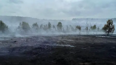 Surrey Fire and Rescue Scorched earth on Hankley Common