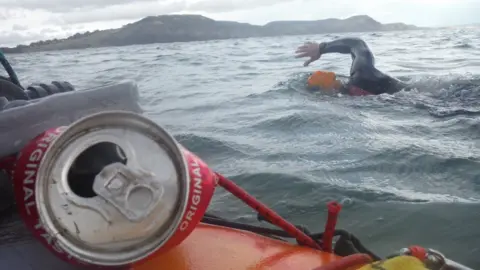Clean Jurassic Coast Swimming