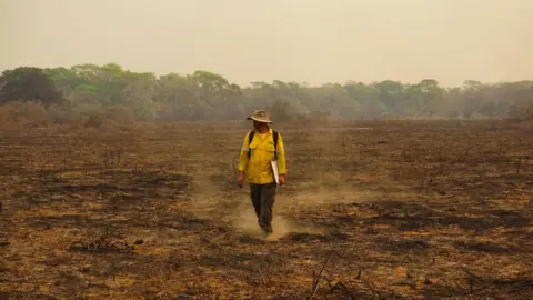 CENAP-ICMBio Researcher sampling an area of the Pantanal just after a wildfire