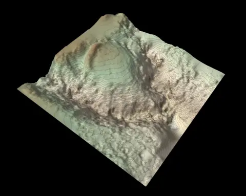 FLS by Skyscape Survey Wallace's house terrain model