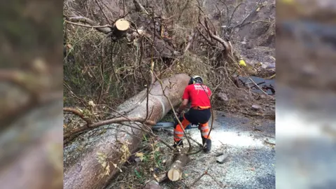 Troy Elliott Mr Elliott clearing a fallen tree from a road.
