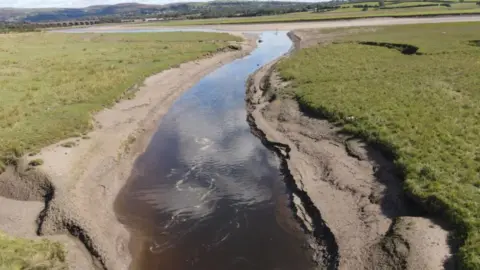 Nathan Collins The water was dark heading into the estuary