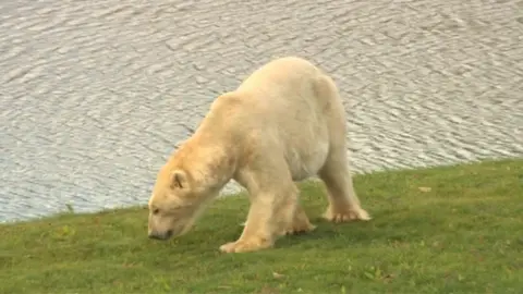 Victor walking near a lake