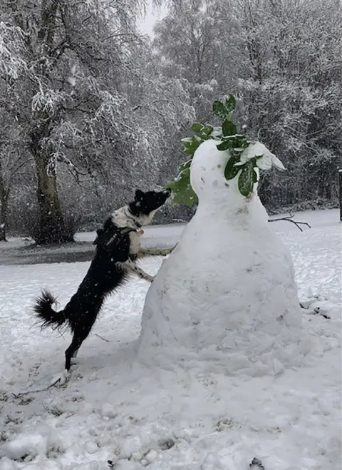 Kirsty Hall Dog and snowman