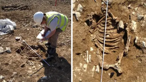 Vale of Glamorgan Council Burial of a calf showing the legs placed close to the animals stomach