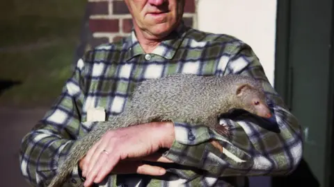 Lake Superior Zoo Mr Magoo the mongoose