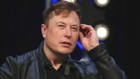 Getty Images SpaceX owner and Tesla chief executive Elon Musk.