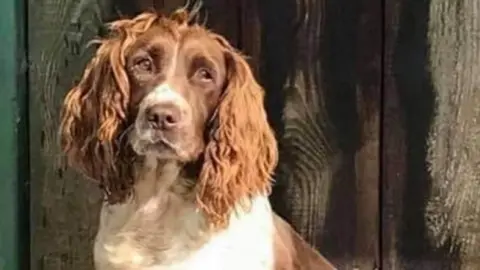 Police Scotland Stolen dog