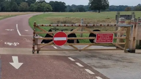 Richmond Park Female drivers report harassment by male cyclists