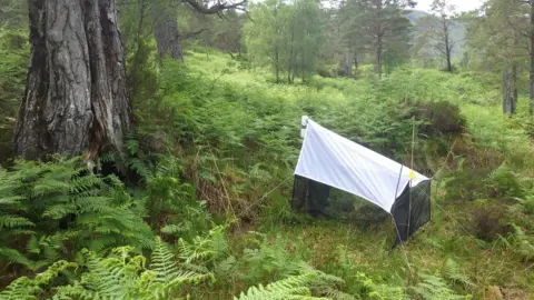 Woodland Trust Malaise trap