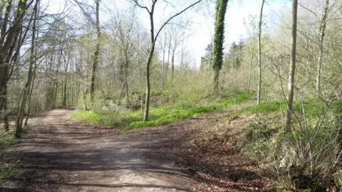 John S Turner/Geograph Loggerheads Country Park