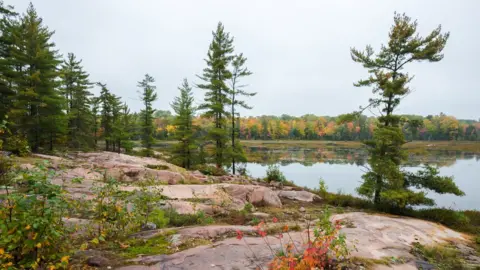 Getty Images Robinson Huron territory