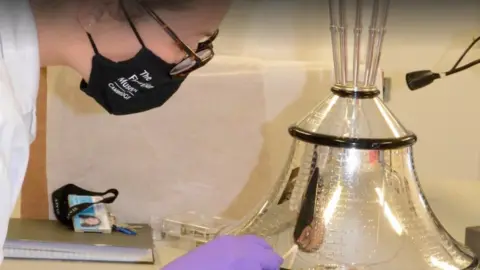Cambridge University Trophy being cleaned