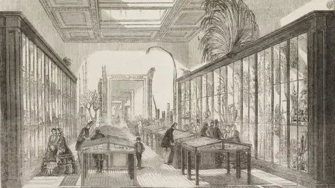 Getty Images Botanical room of the British Museum in 1858