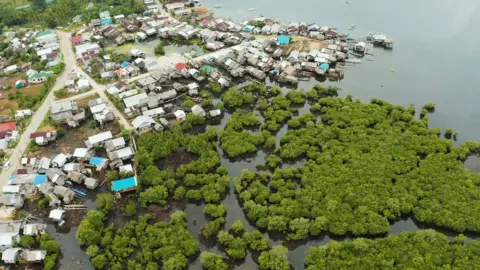 Getty Images Village on waterside surrounded by mangrove trees on the right and left of the picture