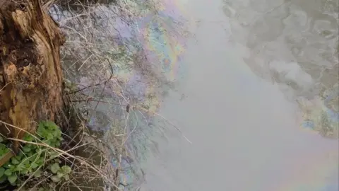 Canterbury: Environment officers investigate River Stour oil leak