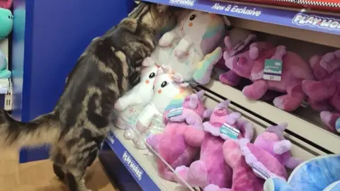 Sarah Knott Willow in a toy aisle