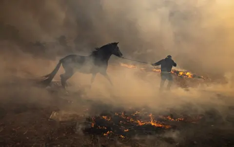 EPA A man leads a horse on a rope through a field of smoke and small flames