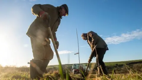 Cornwall Council A photo of farmers planting in a field