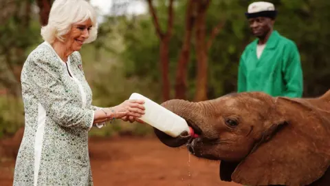 PA Media Camilla and baby elephant in Kenya