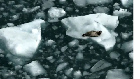 Getty Images arctic ice