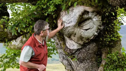 Niall Benvie Tree called the Last Ent of Affric