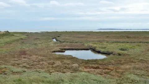 Geograph/Robin Websiter Dovercourt saltings/mudflats