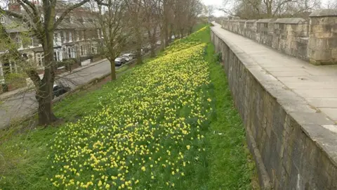 Graham Hogg/Geograph York Walls