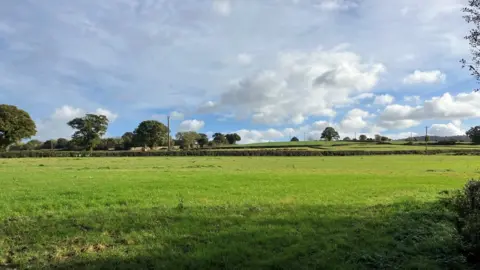 BBC An empty field of grass