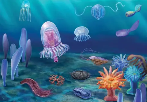 Dongjing Fu Artist's impression of the species