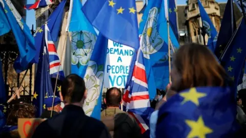 Reuters Anti-Brexit supporters protest outside the Houses of Parliament in London. Photo: 1 April 2019