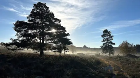 Natalie Wilkinson TUESDAY - Avon Heath