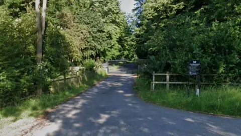 Google A single-track road with trees either side