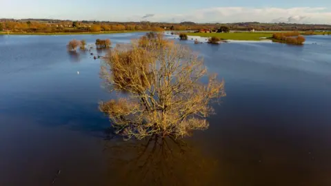 Ben Birchall Flooded fields at Muchelney, Somerset