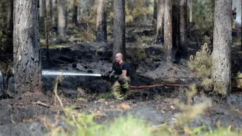 PA Media Firefighter in Wareham Forest