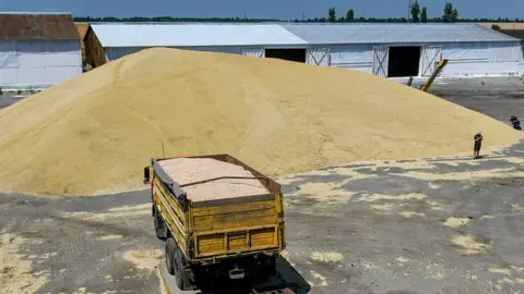 Getty Images Grain pile in Zaporizhzhia, 5 Jul 20