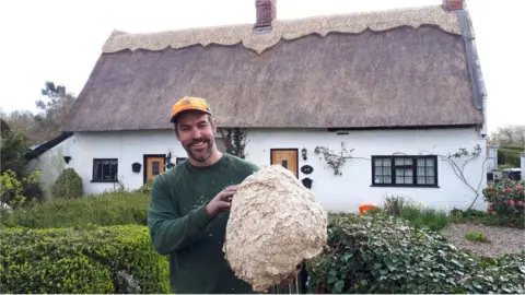 Nick Walker Wasp nest