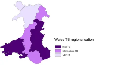 Crown copyright/Welsh Government Map