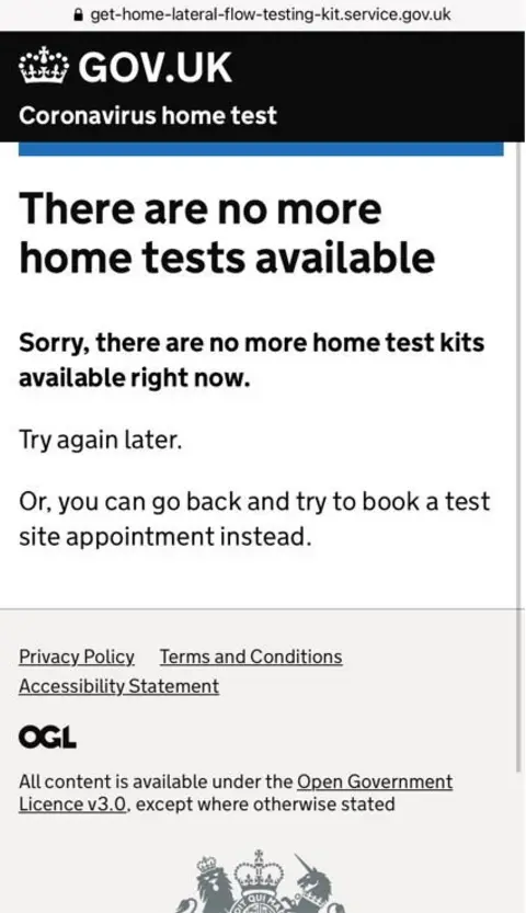 Crown A screen shot of a gov.uk page to order lateral flow tests telling the user to 'try again later'