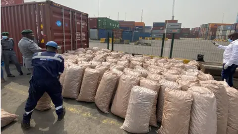 Nigeria Customs Service Nigeria Customs Service seizing trafficked animal parts in 2021