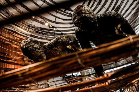 EPA Artworks of Kenyan artist Shabby Mwangi on display during the contemporary art exhibition "documenta fifteen" at the documenta hall in Kassel, Germany.